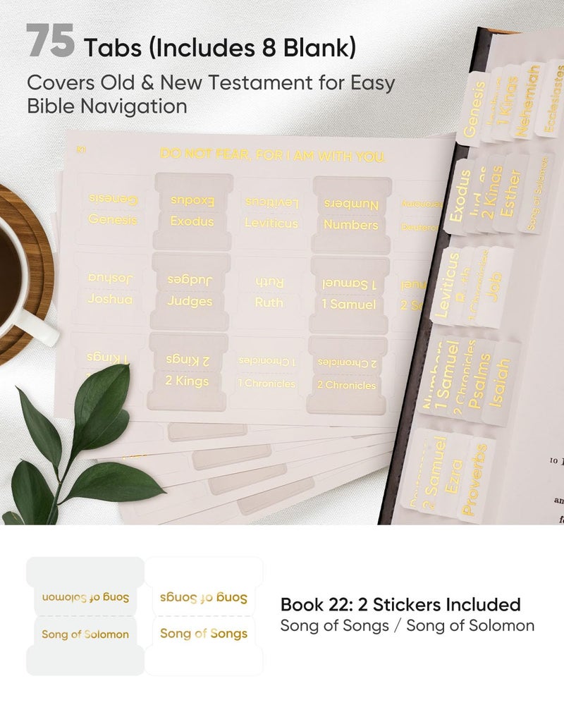 Morjor Bible Tabs for Women and Men  Light Theme  75 Large Print Bible Tabs & 1 Bookmark  Laminated Bible Book Tabs for Study Bible  Easy Navigation  Easy-to-Read Sans Serif Type - Image 2